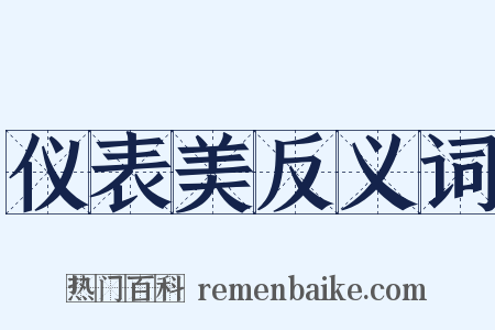 仪表美反义词是什么意思的图片